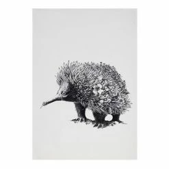 Maxwell & Williams Ferlazzo Tea Towel 50 X 70cm Echidna